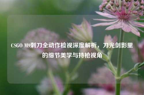 CSGO M9刺刀全动作检视深度解析,刀光剑影里的细节美学与持枪视角