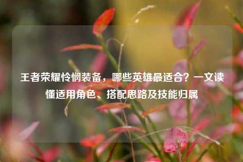 王者荣耀怜悯装备,哪些英雄最适合?一文读懂适用角色、搭配思路及技能归属