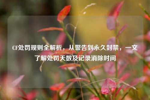 CF处罚规则全解析,从警告到永久封禁,一文了解处罚天数及记录消除时间