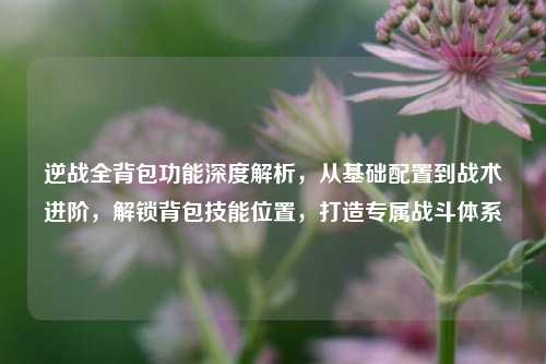 逆战全背包功能深度解析,从基础配置到战术进阶,解锁背包技能位置,打造专属战斗体系