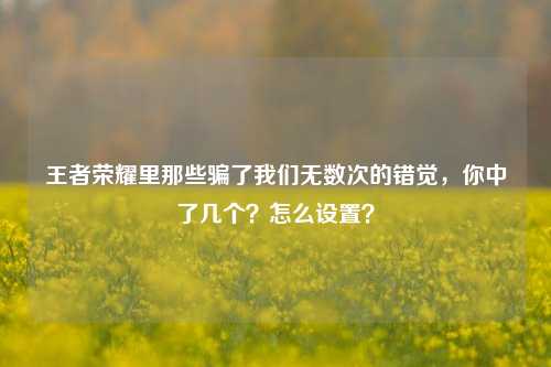 王者荣耀里那些骗了我们无数次的错觉,你中了几个?怎么设置?