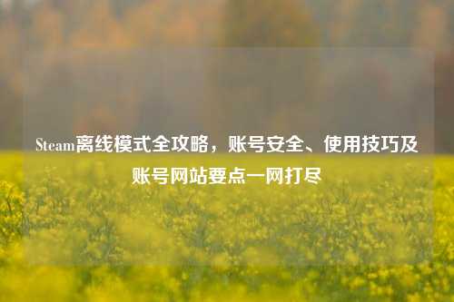 Steam离线模式全攻略，账号安全、使用技巧及账号网站要点一网打尽
