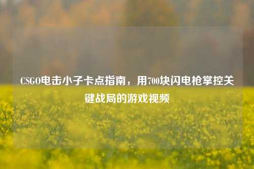 CSGO电击小子卡点指南,用700块闪电枪掌控关键战局的游戏视频