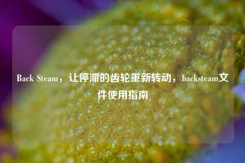 Back Steam，让停滞的齿轮重新转动，backsteam文件使用指南