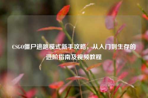 CSGO僵尸逃跑模式新手攻略,从入门到生存的进阶指南及视频教程