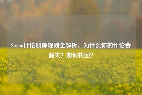 Steam评论删除规则全解析,为什么你的评论会消失?如何找回?