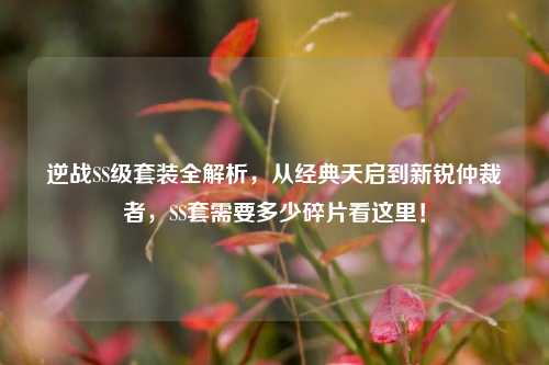 逆战SS级套装全解析,从经典天启到新锐仲裁者,SS套需要多少碎片看这里!