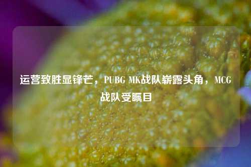 运营致胜显锋芒,PUBG MK战队崭露头角,MCG战队受瞩目