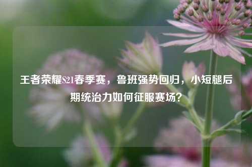王者荣耀S21春季赛,鲁班强势回归,小短腿后期统治力如何征服赛场?