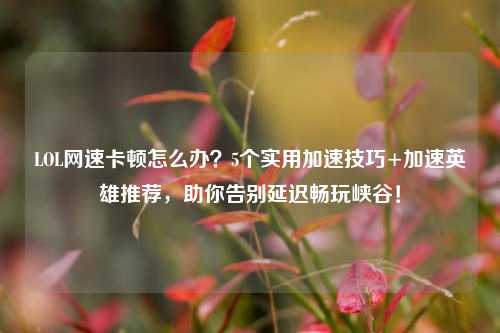 LOL网速卡顿怎么办?5个实用加速技巧+加速英雄推荐,助你告别延迟畅玩峡谷!