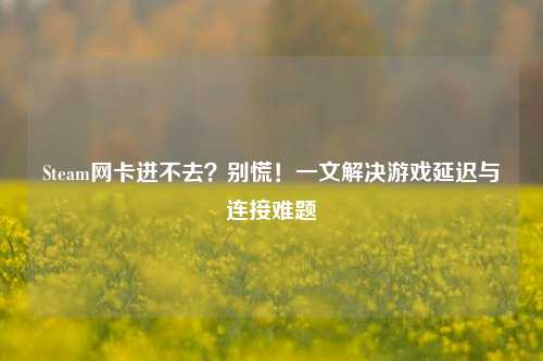 Steam网卡进不去?别慌!一文解决游戏延迟与连接难题