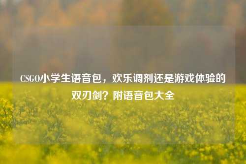 CSGO小学生语音包，欢乐调剂还是游戏体验的双刃剑？附语音包大全
