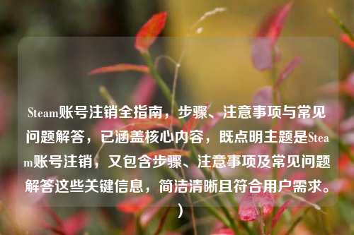 Steam账号注销全指南,步骤、注意事项与常见问题解答,已涵盖核心内容,既点明主题是Steam账号注销,又包含步骤、注意事项及常见问题解答这些关键信息,简洁清晰且符合用户需求。)