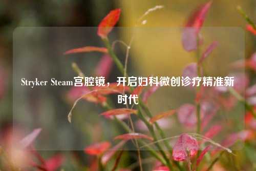 Stryker Steam宫腔镜,开启妇科微创诊疗精准新时代