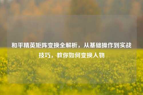 和平精英矩阵变换全解析,从基础操作到实战技巧,教你如何变换人物