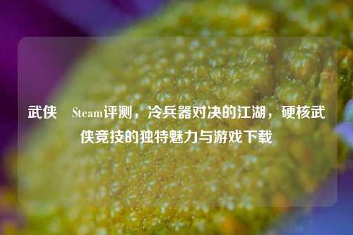 武侠乂Steam评测,冷兵器对决的江湖,硬核武侠竞技的独特魅力与游戏下载