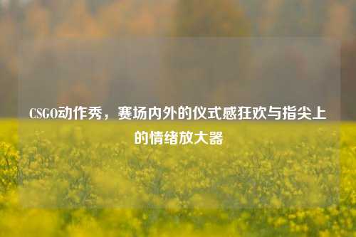 CSGO动作秀,赛场内外的仪式感狂欢与指尖上的情绪放大器