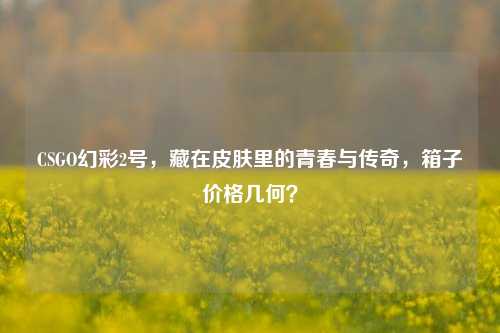 CSGO幻彩2号,藏在皮肤里的青春与传奇,箱子价格几何?