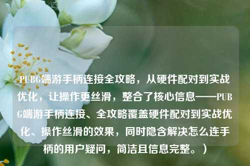 PUBG端游手柄连接全攻略,从硬件配对到实战优化,让操作更丝滑,整合了核心信息——PUBG端游手柄连接、全攻略覆盖硬件配对到实战优化、操作丝滑的效果,同时隐含解决怎么连手柄的用户疑问,简洁且信息完整。)