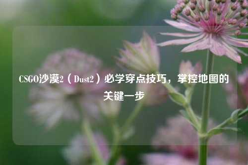 CSGO沙漠2(Dust2)必学穿点技巧,掌控地图的关键一步