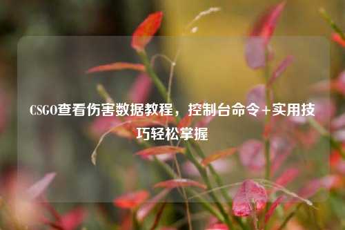 CSGO查看伤害数据教程,控制台命令+实用技巧轻松掌握