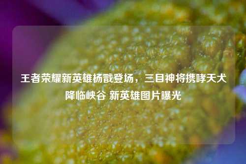 王者荣耀新英雄杨戬登场,三目神将携哮天犬降临峡谷 新英雄图片曝光