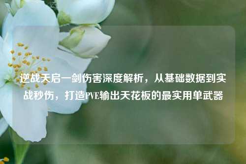 逆战天启一剑伤害深度解析,从基础数据到实战秒伤,打造PVE输出天花板的最实用单武器