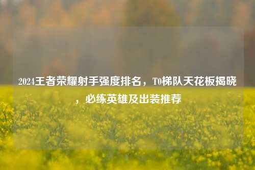2024王者荣耀射手强度排名,T0梯队天花板揭晓,必练英雄及出装推荐
