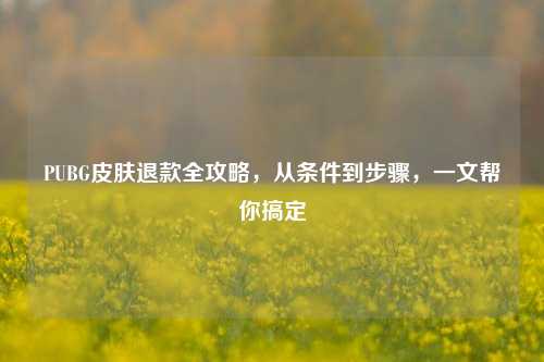 PUBG皮肤退款全攻略,从条件到步骤,一文帮你搞定