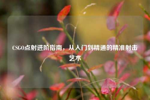 CSGO点射进阶指南,从入门到精通的精准射击艺术