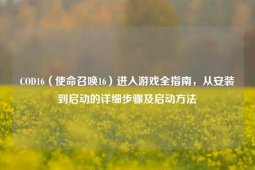 COD16（使命召唤16）进入游戏全指南，从安装到启动的详细步骤及启动 *** 