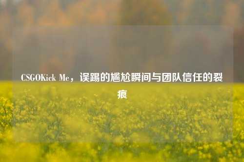 CSGOKick Me，误踢的尴尬瞬间与团队信任的裂痕