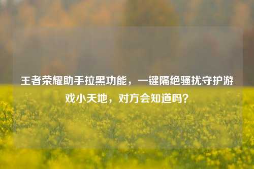 王者荣耀助手拉黑功能,一键隔绝骚扰守护游戏小天地,对方会知道吗?