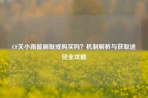 CF关小雨能刷取或购买吗？机制解析与获取途径全攻略
