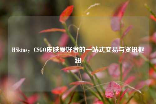 HSkins,CSGO皮肤爱好者的一站式交易与资讯枢纽