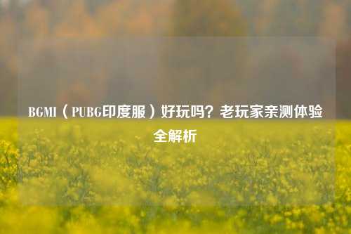 BGMI(PUBG印度服)好玩吗?老玩家亲测体验全解析