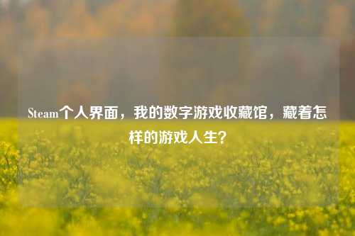 Steam个人界面,我的数字游戏收藏馆,藏着怎样的游戏人生?