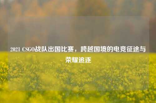 2021 CSGO战队出国比赛,跨越国境的电竞征途与荣耀追逐