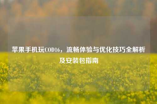 苹果手机玩COD16,流畅体验与优化技巧全解析及安装包指南