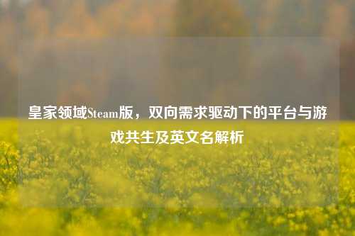 皇家领域Steam版,双向需求驱动下的平台与游戏共生及英文名解析