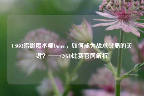 CSGO暗影魔术师Omen,如何成为战术破局的关键?——CSGO比赛官网解析
