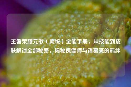 王者荣耀元歌(庞统)全能手册,从技能到皮肤解锁全部秘密,揭秘傀儡师与诸葛亮的羁绊