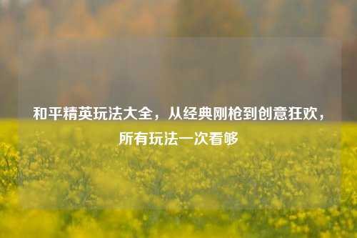 和平精英玩法大全,从经典刚枪到创意狂欢,所有玩法一次看够