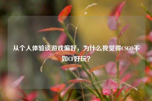 从个人体验谈游戏偏好，为什么我觉得CSGO不如CF好玩？