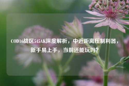 COD16战区545AK深度解析，中近距离压制利器，新手易上手，当前还能玩吗？