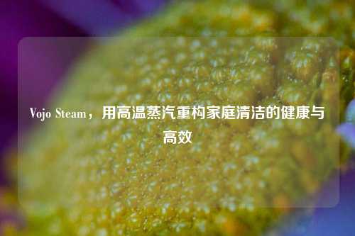 Vojo Steam,用高温蒸汽重构家庭清洁的健康与高效
