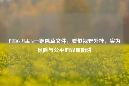 PUBG Mobile一键除草文件,看似视野外挂,实为风险与公平的双重陷阱