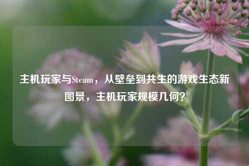 主机玩家与Steam，从壁垒到共生的游戏生态新图景，主机玩家规模几何？
