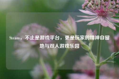 Steam,不止是游戏平台,更是玩家的精神自留地与双人游戏乐园