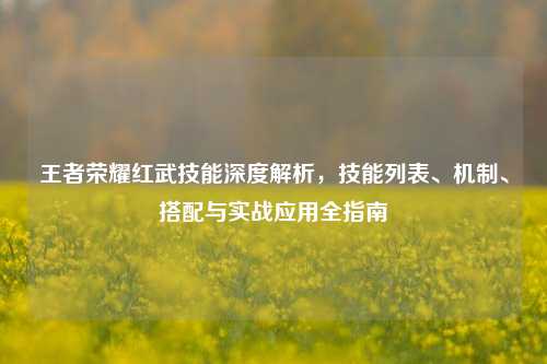 王者荣耀红武技能深度解析,技能列表、机制、搭配与实战应用全指南